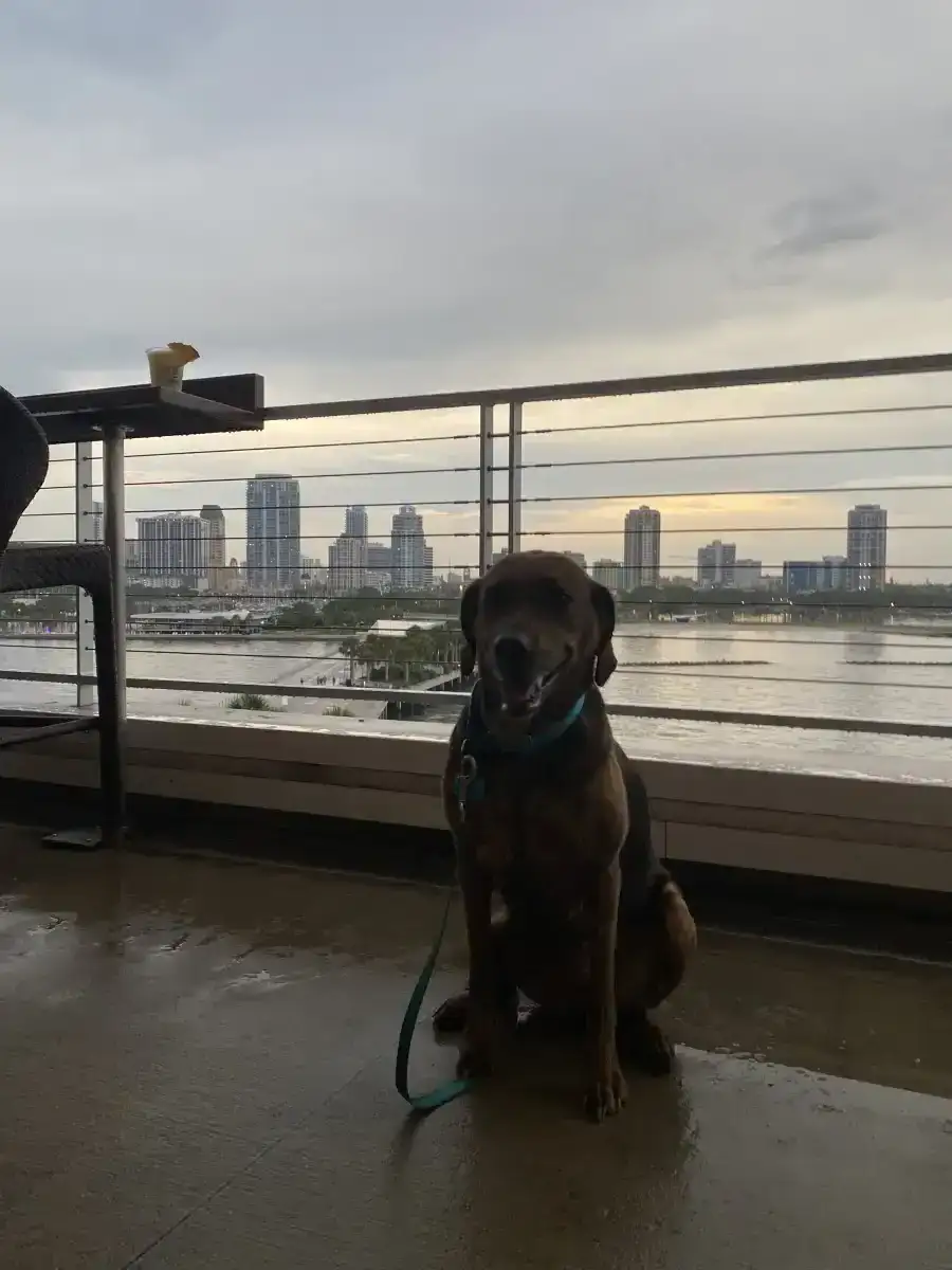 Hound Dog Landscaping team member by the waterfront in St. Petersburg FL