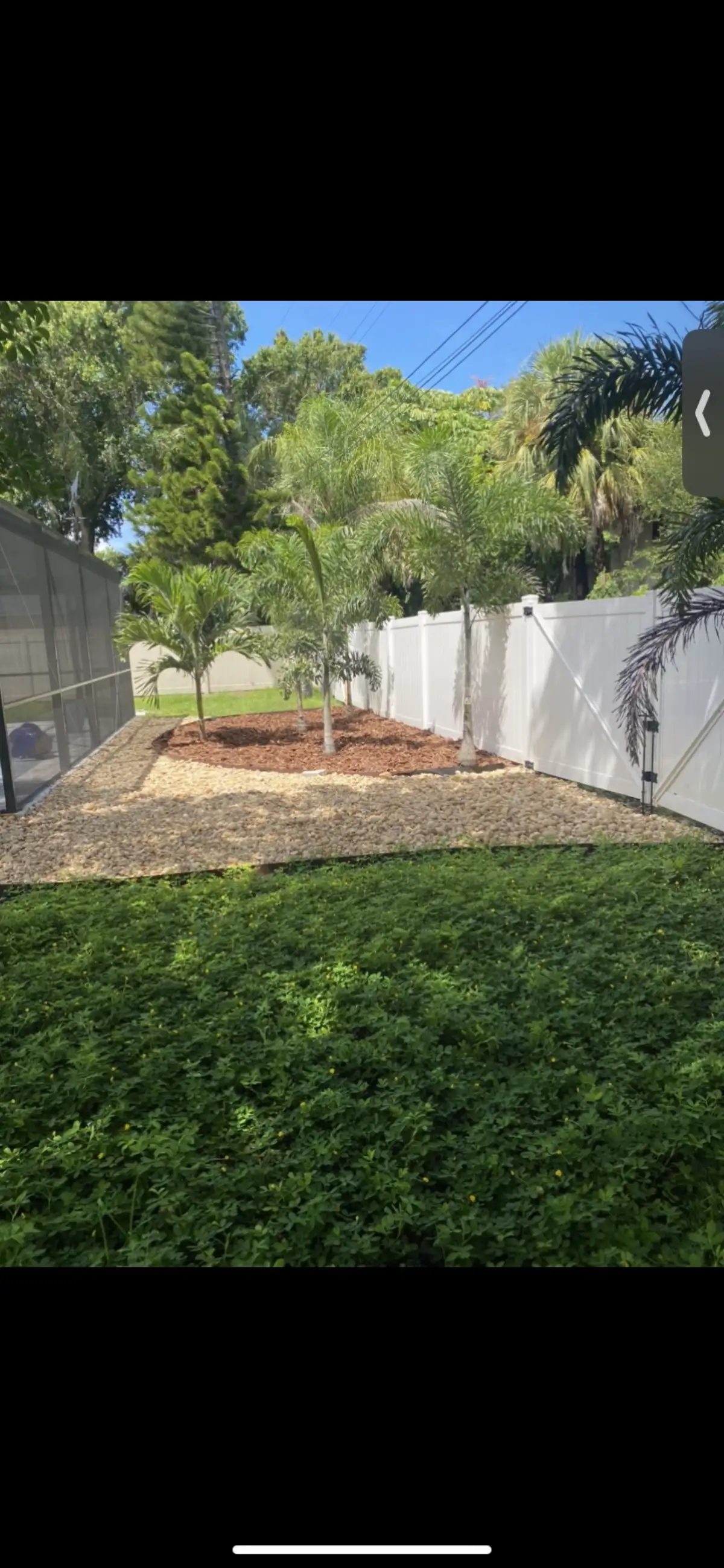Front yard landscape design with native Florida plants