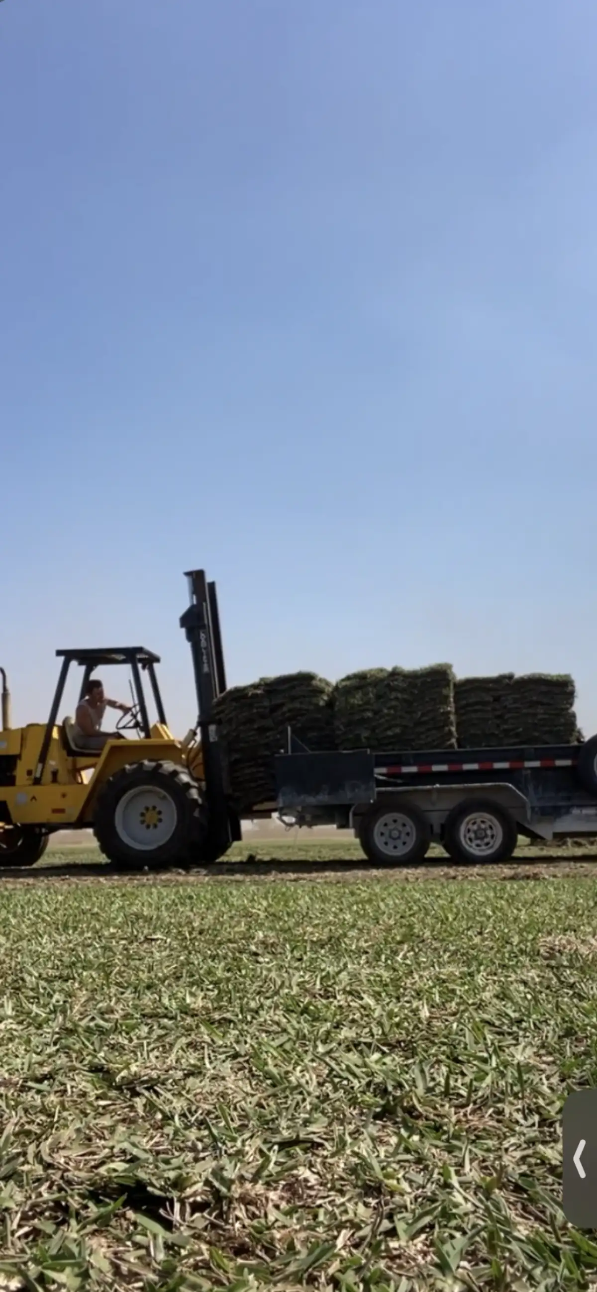 Complete property transformation with sod and plantings