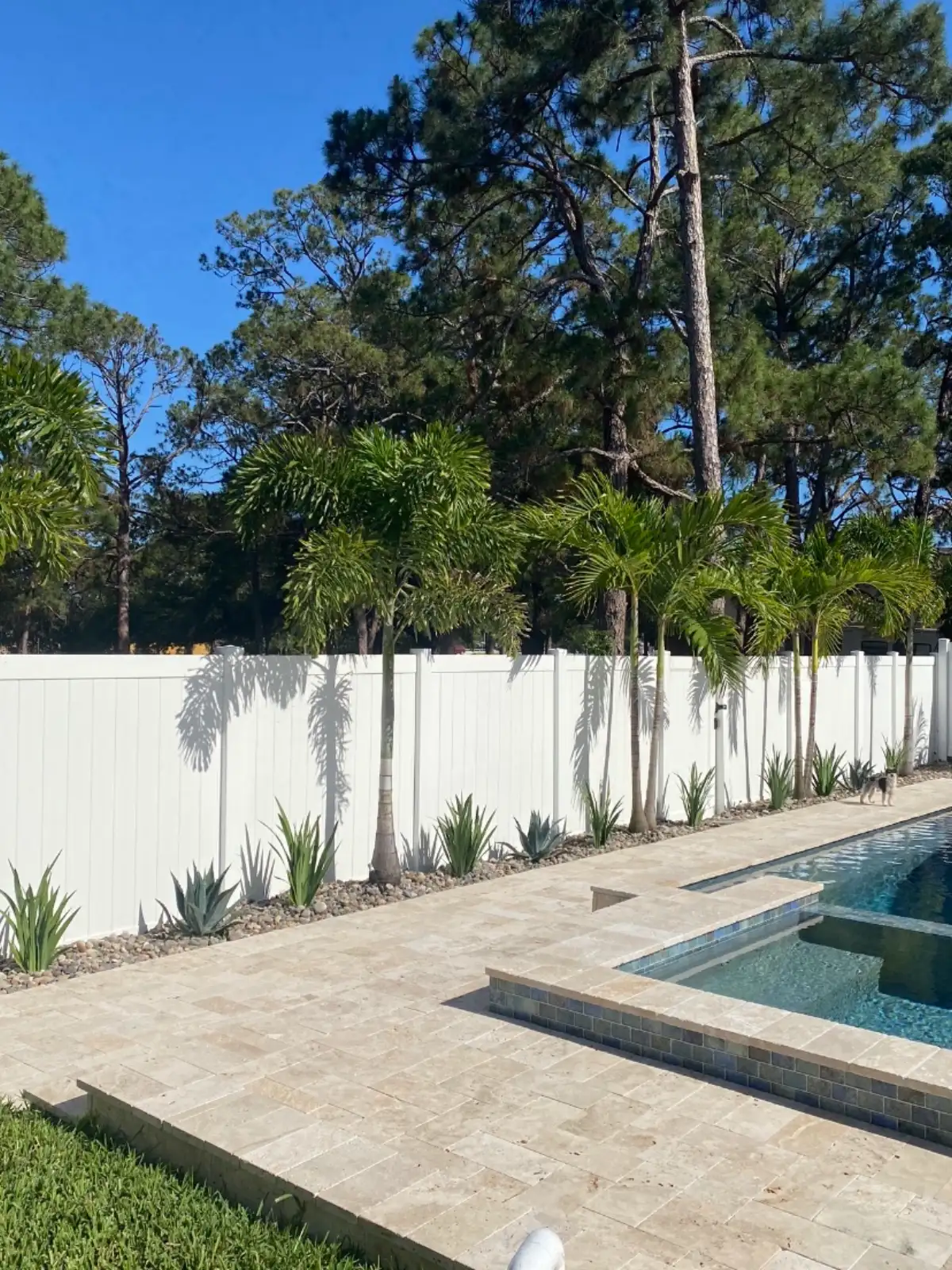 Landscape design and planting in St. Petersburg FL