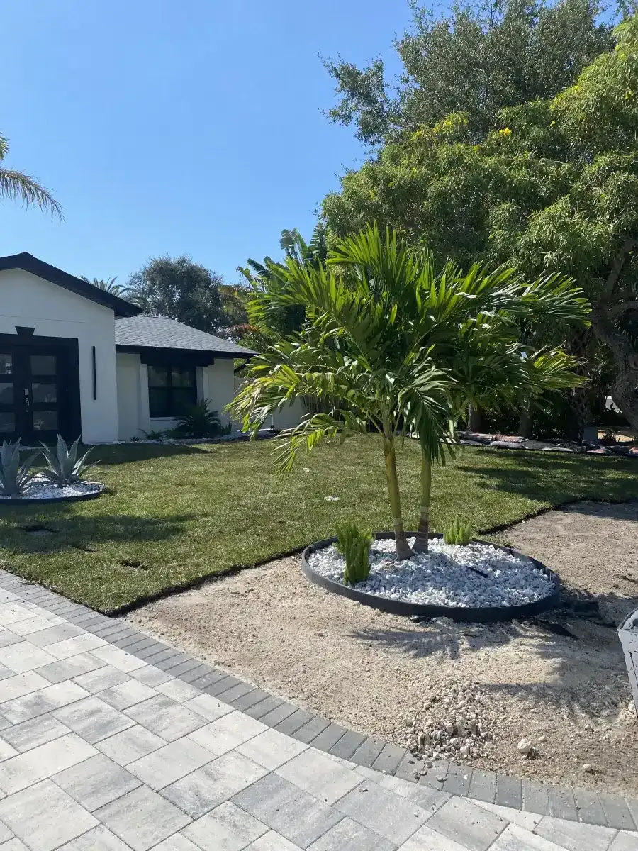 Professional sod installation by Hound Dog Landscaping in St. Petersburg FL